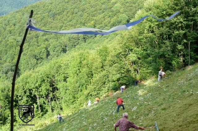 p2010_mhen_02