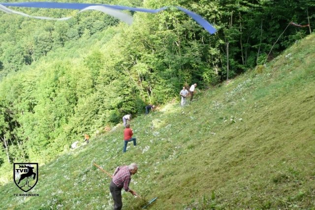p2010_mhen_03