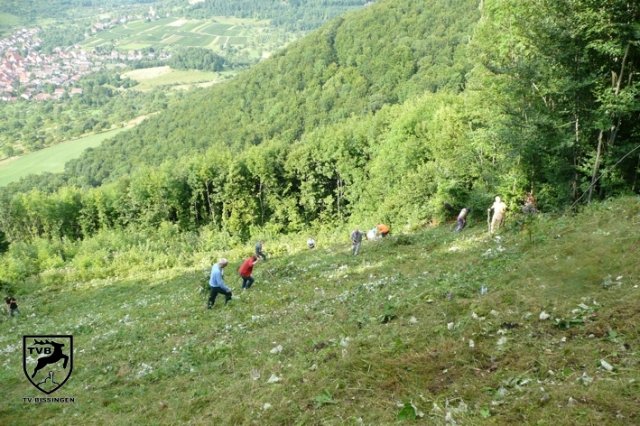 p2010_mhen_04