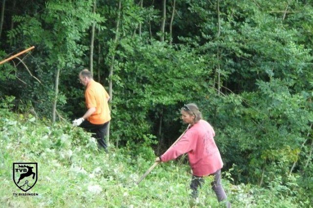 p2010_mhen_05