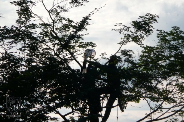 p2010_mhen_10