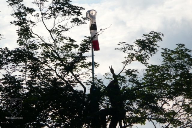 p2010_mhen_11