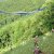p2010_mhen_02