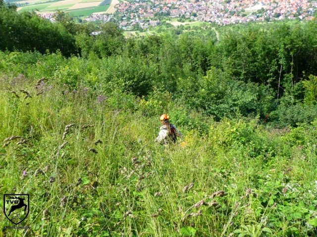 2011_maehen_0102
