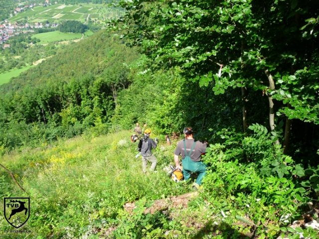 2011_maehen_0103
