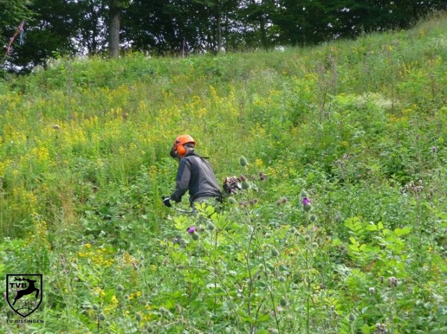 2011_maehen_0105