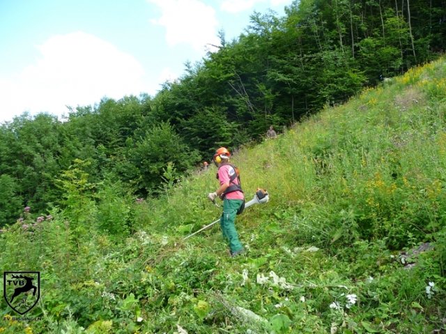 2011_maehen_0106