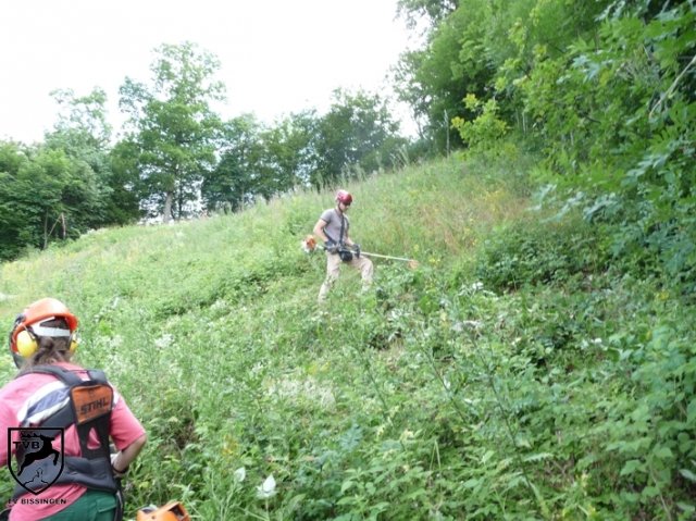 2011_maehen_0107