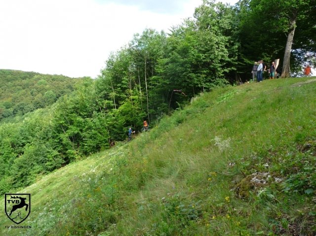 2011_maehen_0111
