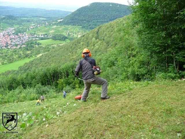 2011_maehen_0113
