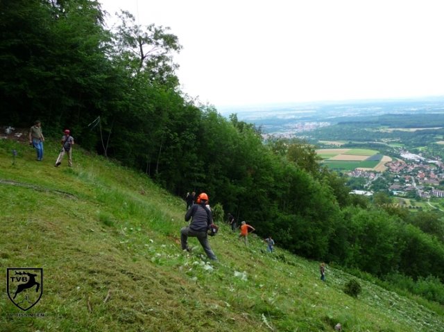 2011_maehen_0114
