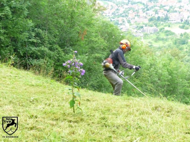 2011_maehen_0117