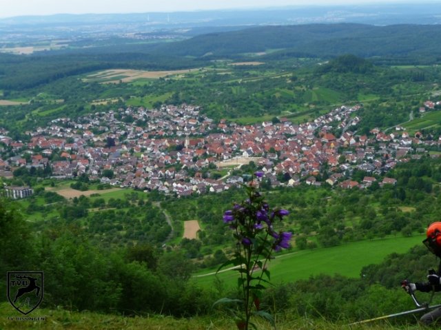 2011_maehen_0118