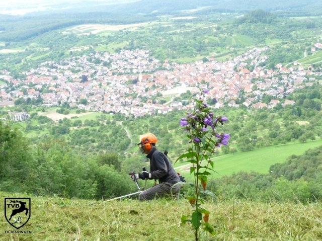 2011_maehen_0119