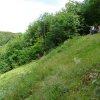 2011_maehen_0111