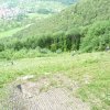 2011_maehen_21
