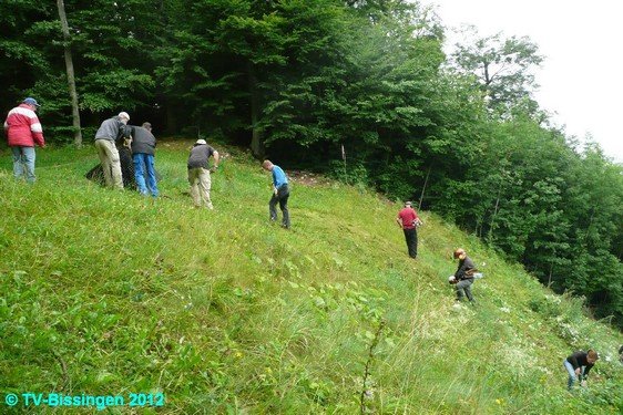 120720_maehen_10