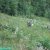 120720_maehen_06