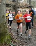 waldlauf_1